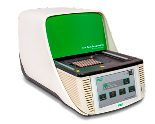 PCR en tiempo real