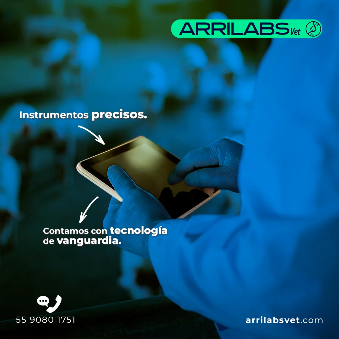 Arrilabs Arrilab Ubicación